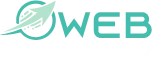 web new team